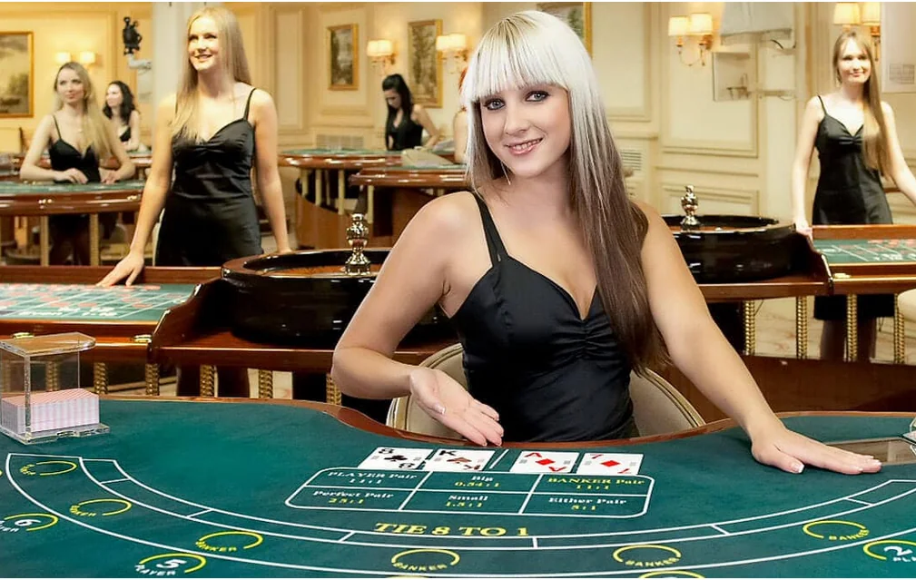 Tampilan meja kasino live dengan dealer dan layar permainan